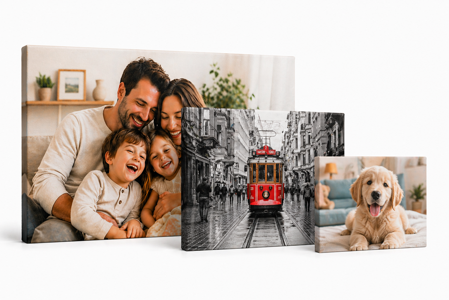 Canvas Prints